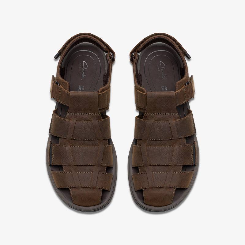 Dark Brown Leather Clarks Saltway Cove | CLKS-84217