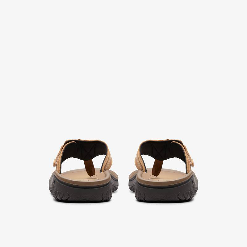 Tan Leather Clarks WESLEY SUN | CLKS-84215